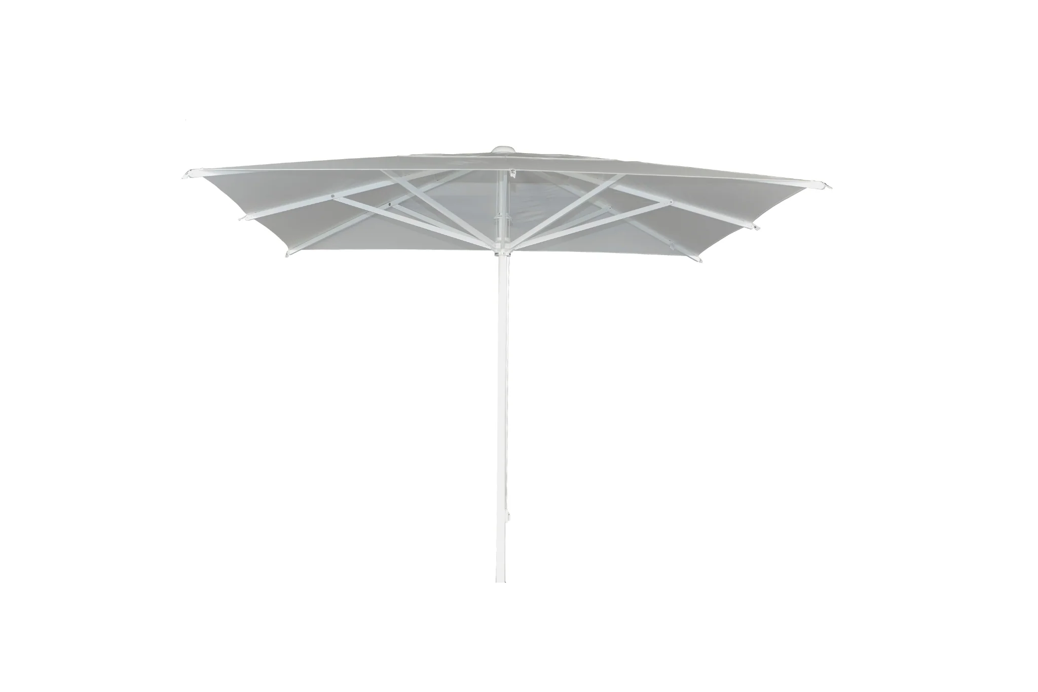 Florida | Parasol | - Image 2