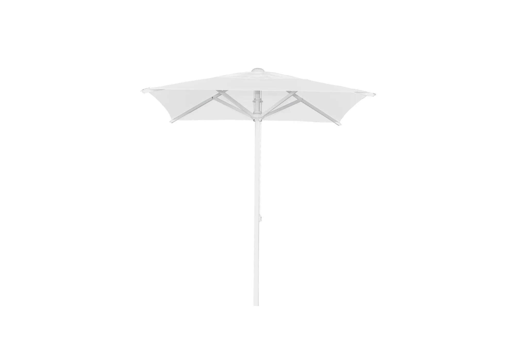 Florida | Parasol | - Image 3