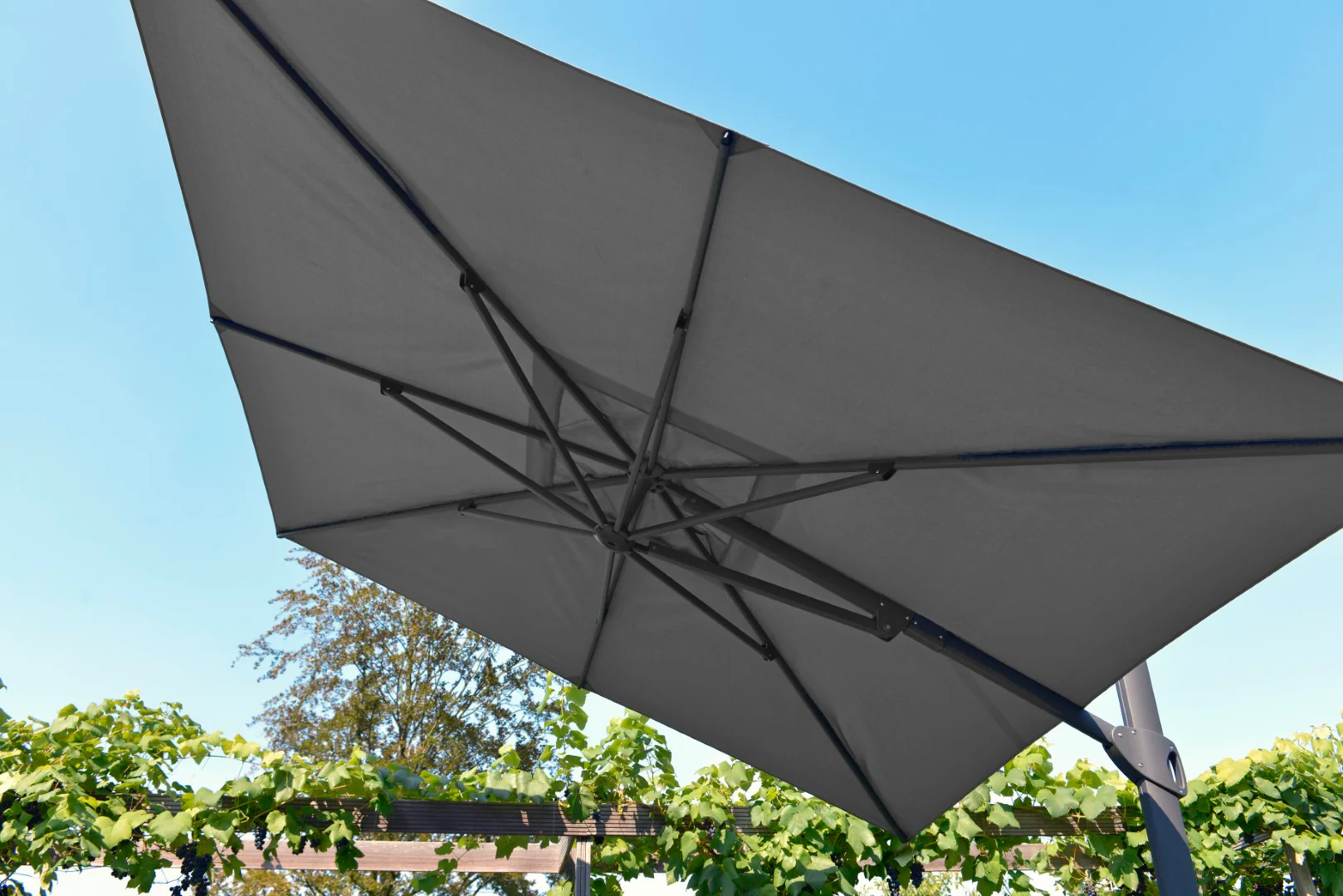 Max&Luuk | Vince | Parasol | 300x300 | - Image 3